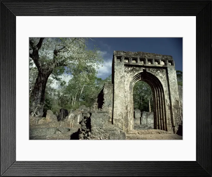 Framed Print : Gedi ruins Framed Print : Gedi ruins