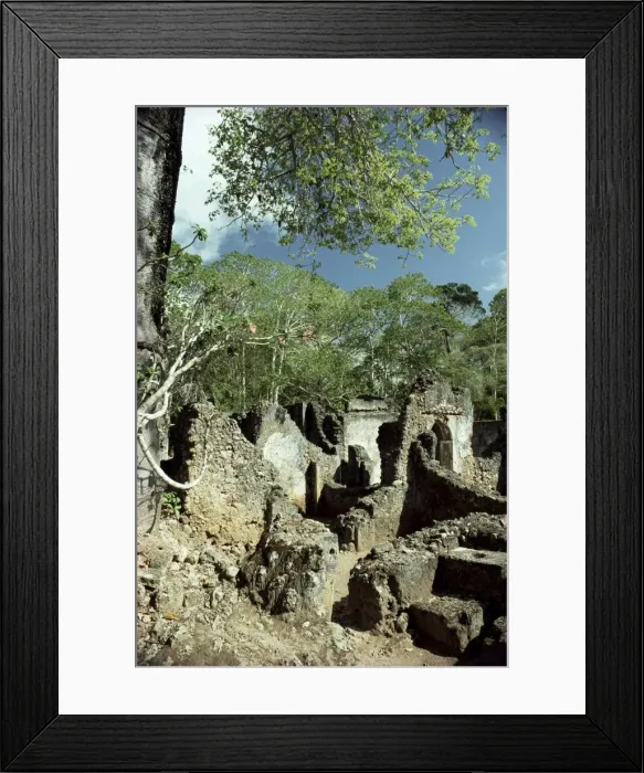 Framed Print : Gedi ruins Framed Print : Gedi ruins
