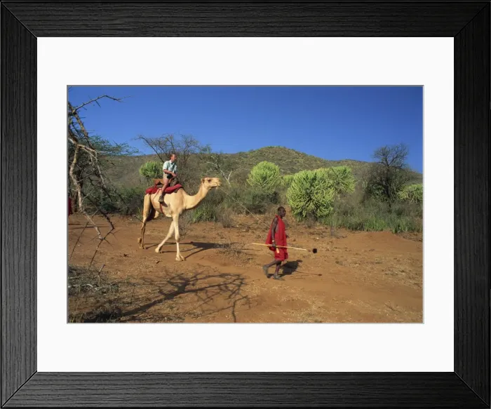 Framed Print : Camel safari Framed Print : Camel safari