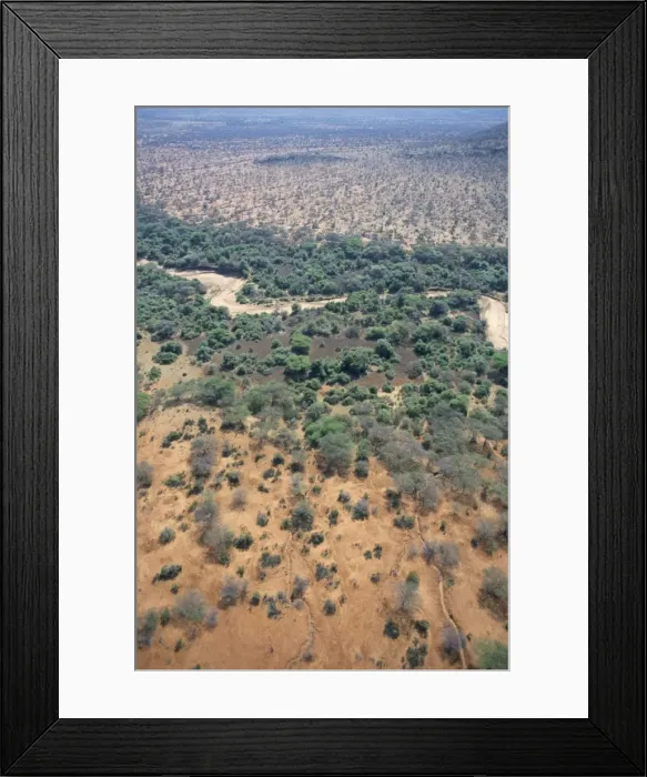 Framed Print : Trees mark a dry riverbed or Lugga which may only flow Framed Print : Trees mark a dry riverbed or Lugga which may only flow
