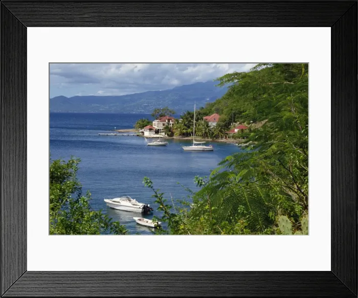 Framed Print : Boats moored in bay at Terre de Haut Framed Print : Boats moored in bay at Terre de Haut