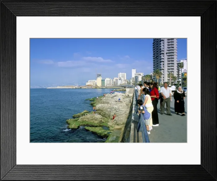 Framed Print : View of waterfront and downtown