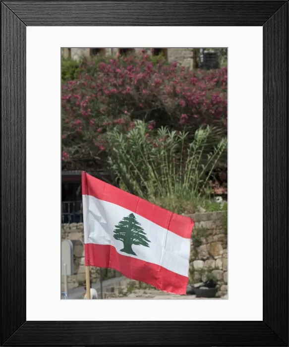 Framed Print : Lebanese flag Framed Print : Lebanese flag
