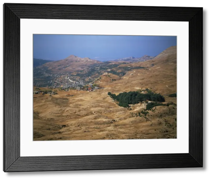 Framed Print : The last remaining cedars Framed Print : The last remaining cedars