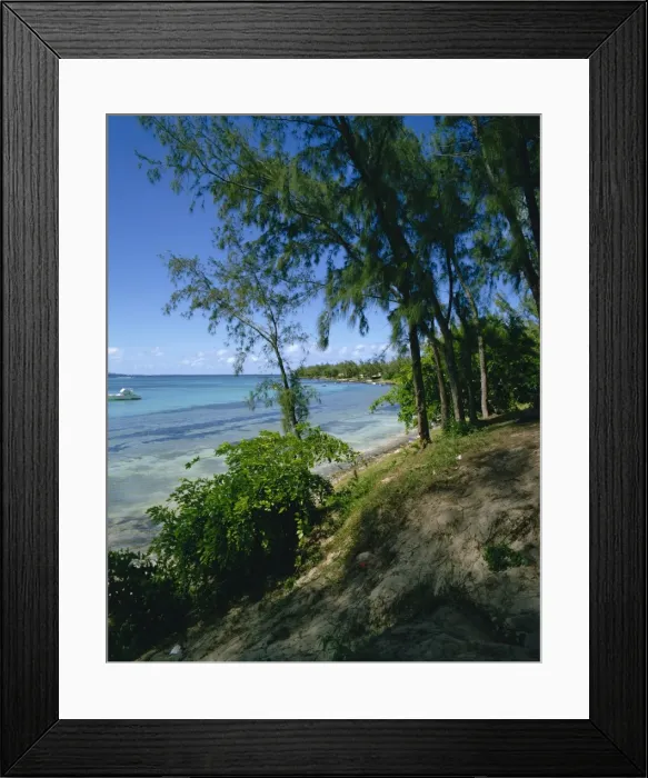 Framed Print : North coast near Grand Bay Framed Print : North coast near Grand Bay