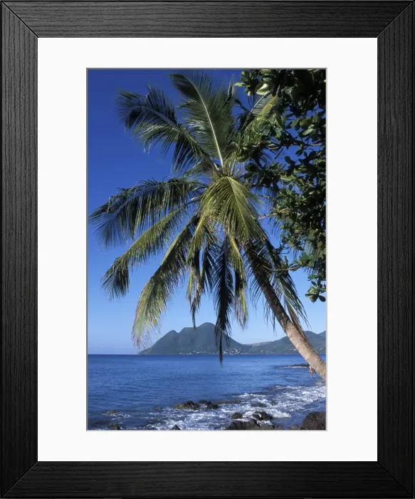 Framed Print : Morne Larcher Framed Print : Morne Larcher