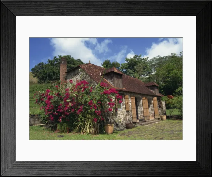 Framed Print : The Museum Framed Print : The Museum