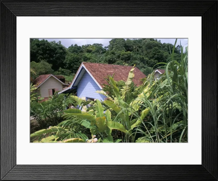 Framed Print : Creole houses Framed Print : Creole houses