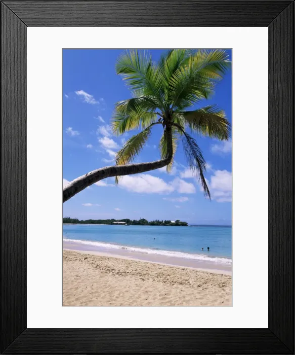 Framed Print : Les Salines beach Framed Print : Les Salines beach