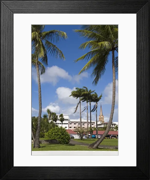 Framed Print : La Savane Park Framed Print : La Savane Park