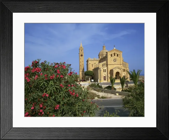 Framed Print : Oleander bush in front of the Ta Pinu Cathedral at Gozo Framed Print : Oleander bush in front of the Ta Pinu Cathedral at Gozo
