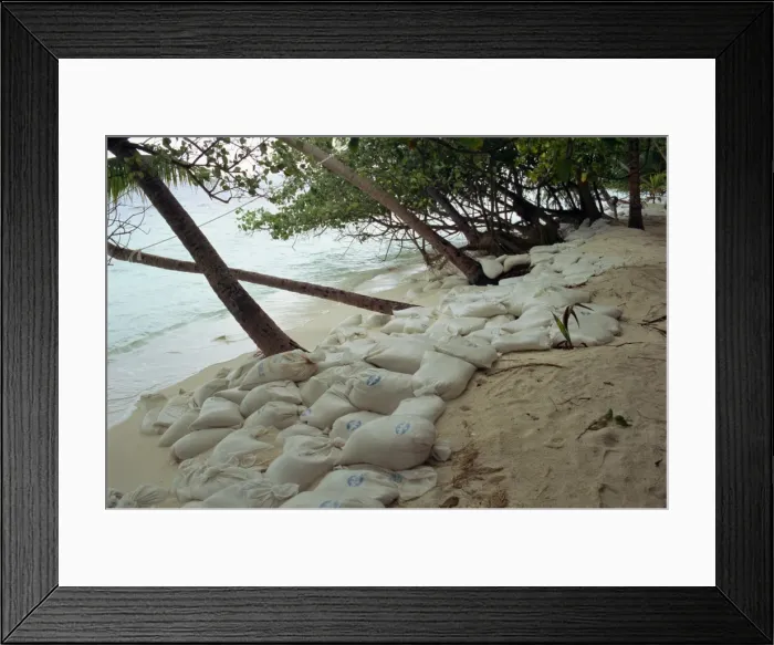 Framed Print : Plastic bags filled with sand as erosion control Framed Print : Plastic bags filled with sand as erosion control