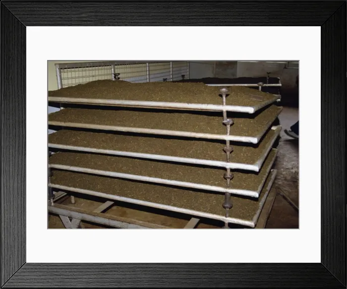 Framed Print : Tea production Framed Print : Tea production