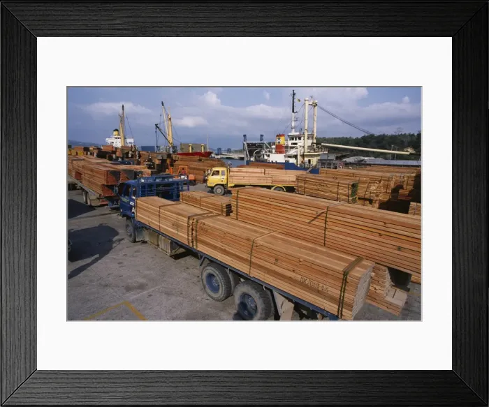 Framed Print : Loading timber for export Framed Print : Loading timber for export