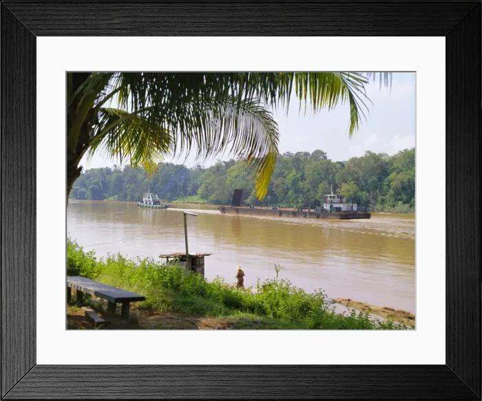Framed Print : Logging barge on the Kinabatangan River Framed Print : Logging barge on the Kinabatangan River