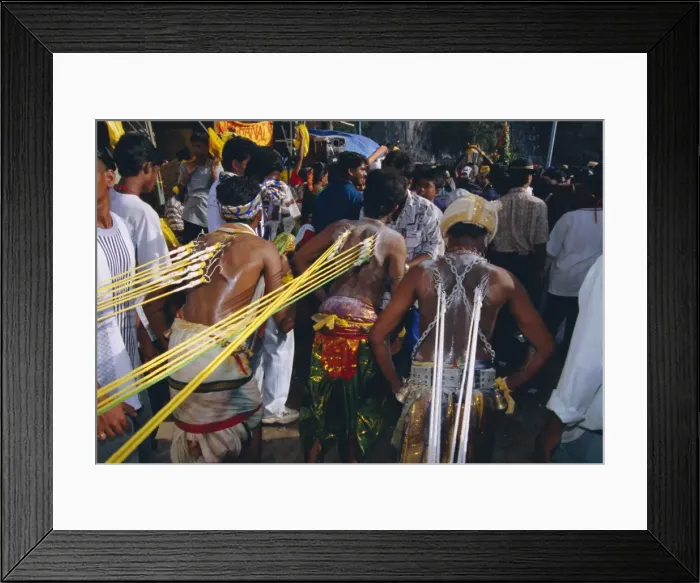 Framed Print : Annual Hindu festival of Thaipusam Framed Print : Annual Hindu festival of Thaipusam