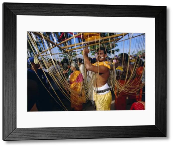 Framed Print : Annual Hindu festival of Thaipusam Framed Print : Annual Hindu festival of Thaipusam