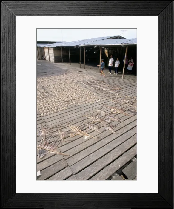 Framed Print : Octopus and fish drying in the sun at Sempornas fish market Framed Print : Octopus and fish drying in the sun at Sempornas fish market