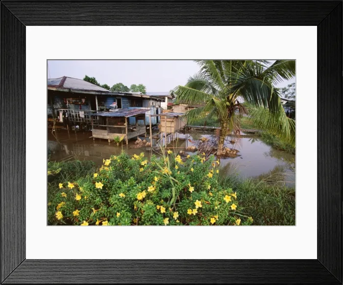 Framed Print : Typical Malaysian stilt house at Sarikei on Rejang River Framed Print : Typical Malaysian stilt house at Sarikei on Rejang River