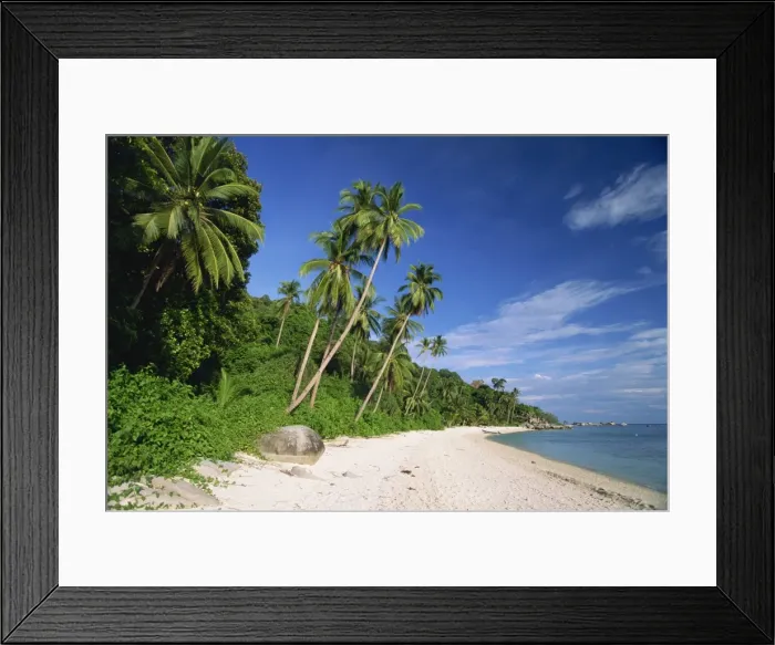 Framed Print : Tropical beach and palm trees on Perhentian Besar Framed Print : Tropical beach and palm trees on Perhentian Besar