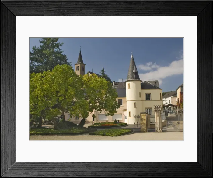 Framed Print : Schloss garden and gatetower Framed Print : Schloss garden and gatetower