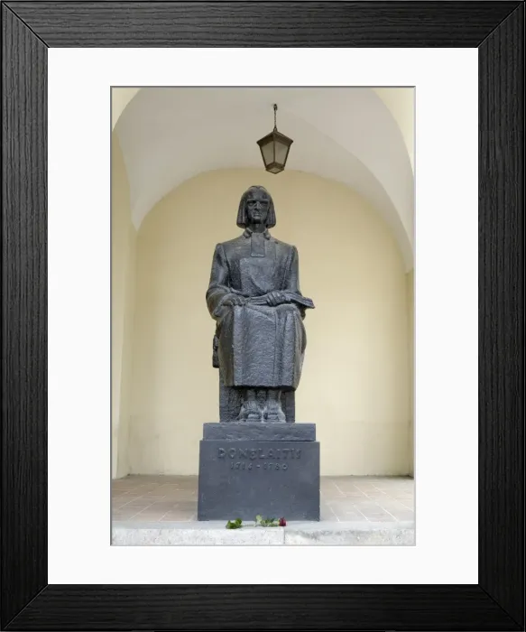 Framed Print : Rose placed at the foot of the statue of Donelaitis 1714-1780 Framed Print : Rose placed at the foot of the statue of Donelaitis 1714-1780