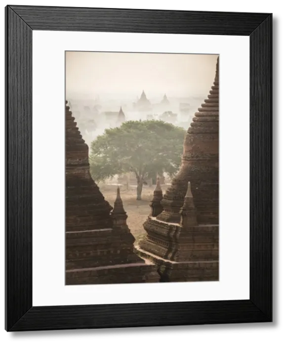 Framed Print : Sunrise at the Temples of Bagan (Pagan), Myanmar (Burma), Asia Framed Print : Sunrise at the Temples of Bagan (Pagan), Myanmar (Burma), Asia