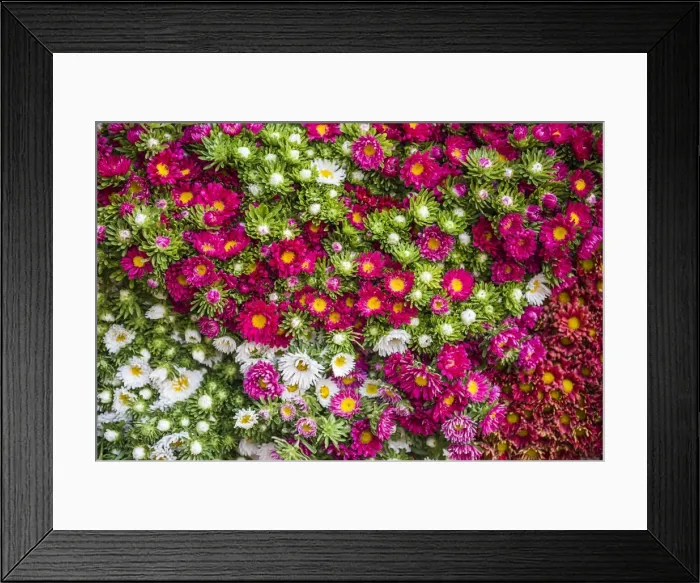 Framed Print : Flowers for sale at Hsipaw (Thibaw) market, Shan State, Myanmar (Burma), Asia Framed Print : Flowers for sale at Hsipaw (Thibaw) market, Shan State, Myanmar (Burma), Asia