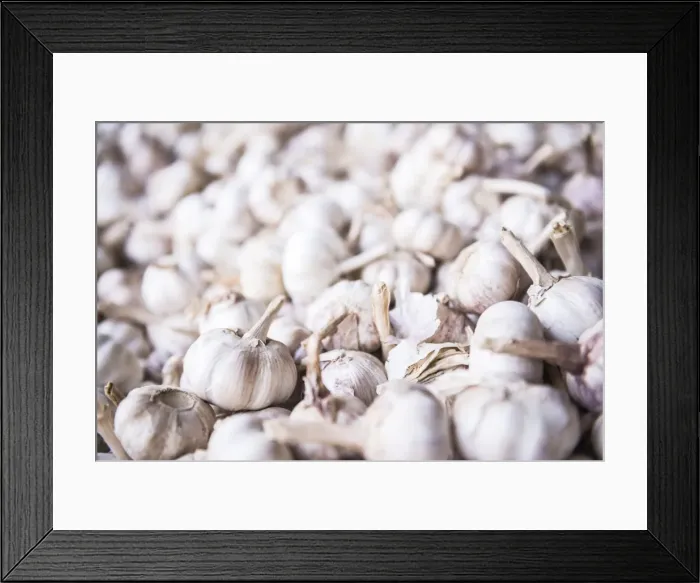 Framed Print : Garlic for sale at Hsipaw (Thibaw) market, Shan State, Myanmar (Burma), Asia Framed Print : Garlic for sale at Hsipaw (Thibaw) market, Shan State, Myanmar (Burma), Asia