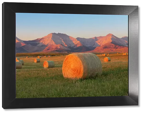 Hay bales in a field with the Rocky Mountains in the background, near Twin Butte