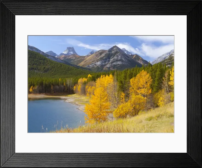 Framed Print : Wedge Pond in autumn, Peter Lougheed Provincial Park, Alberta, Canada, North America Framed Print : Wedge Pond in autumn, Peter Lougheed Provincial Park, Alberta, Canada, North America