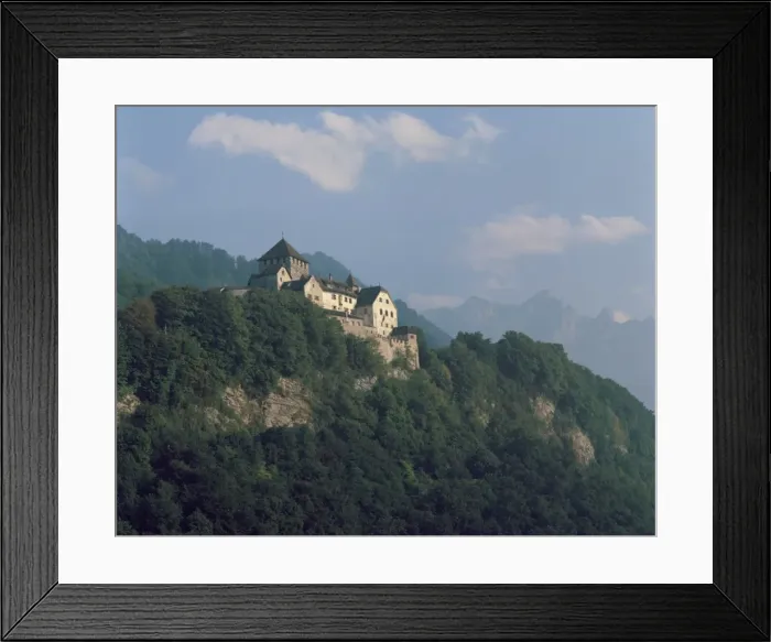 Framed Print : Vaduz castle Framed Print : Vaduz castle