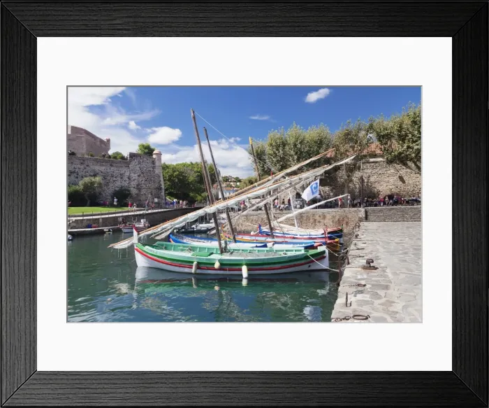 Framed Print : Traditional fishing boats at the port, Chateau Royal Fortress, Collioure, Pyrenees-Orientales Framed Print : Traditional fishing boats at the port, Chateau Royal Fortress, Collioure, Pyrenees-Orientales