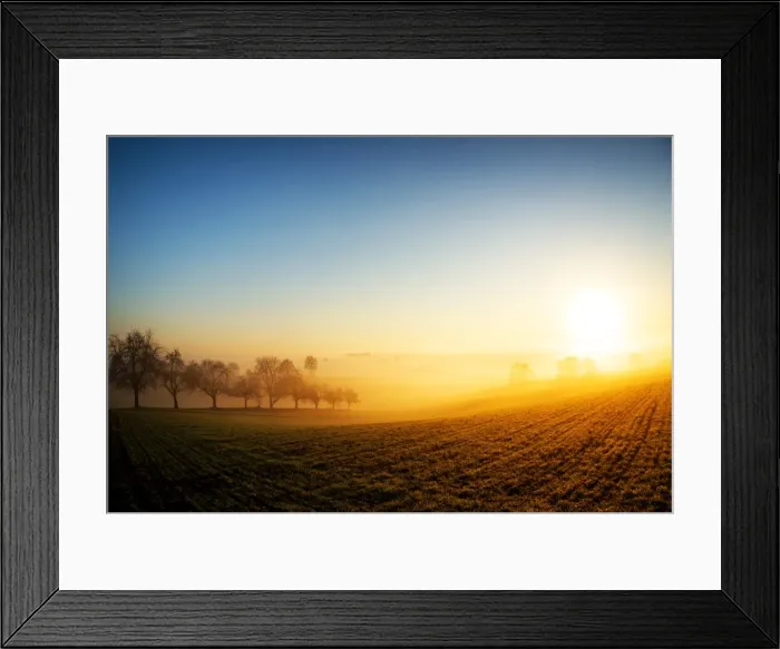 Framed Print : Warm morning sun illuminating dense fog in a colorful rural landscape scene, Baden-Wurttemberg Framed Print : Warm morning sun illuminating dense fog in a colorful rural landscape scene, Baden-Wurttemberg