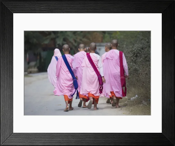 Framed Print : Buddhist nuns in traditional robes, Sagaing, Myanmar (Burma), Southeast Asia Framed Print : Buddhist nuns in traditional robes, Sagaing, Myanmar (Burma), Southeast Asia