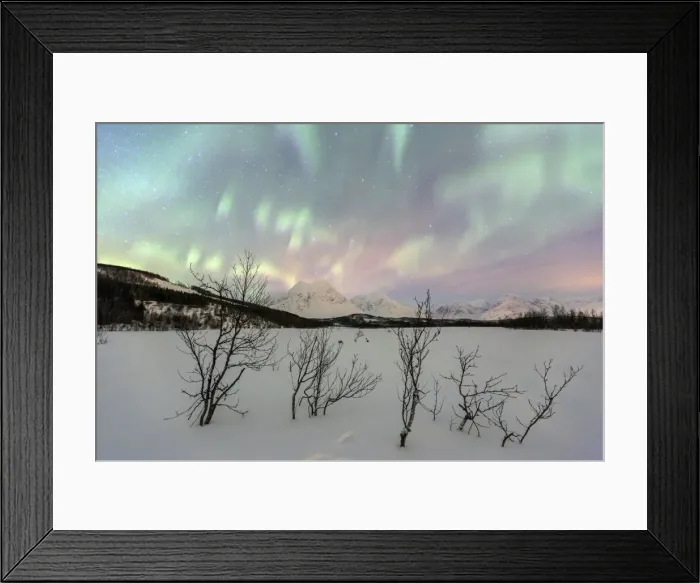 Framed Print : The Northern Lights illuminates the snowy landscape in Svensby, Lyngen Alps, Troms Framed Print : The Northern Lights illuminates the snowy landscape in Svensby, Lyngen Alps, Troms