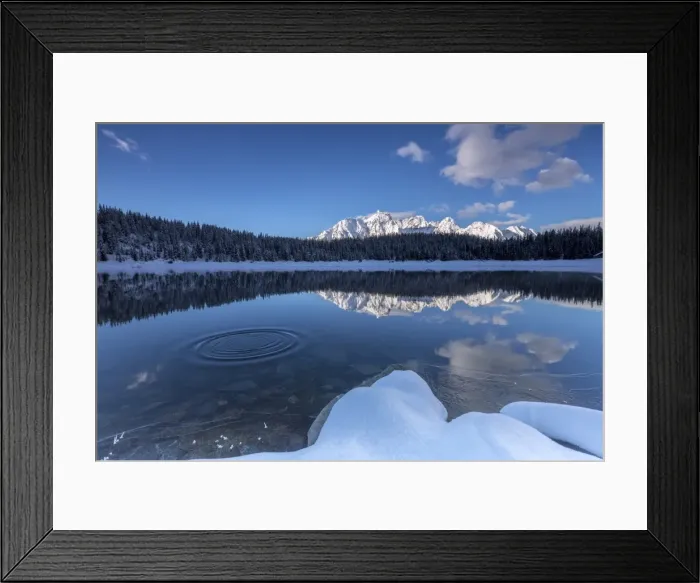 Framed Print : Woods and snowy peaks are reflected in the clear water of Lake Palu, Malenco Valley Framed Print : Woods and snowy peaks are reflected in the clear water of Lake Palu, Malenco Valley