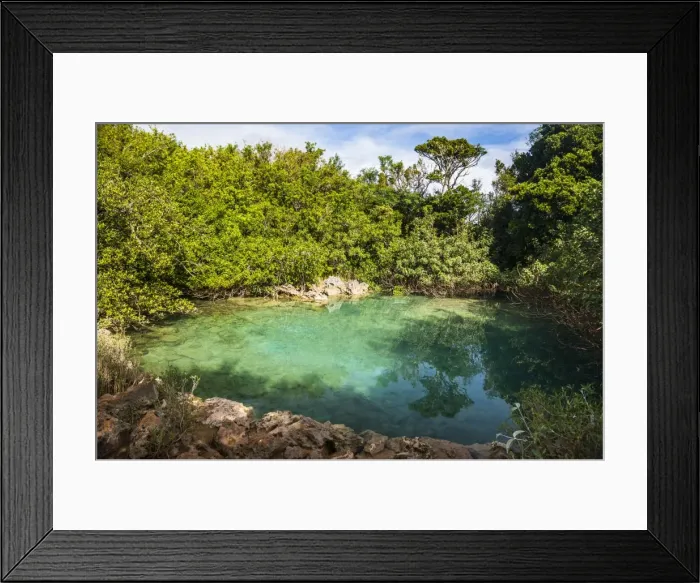 Framed Print : Sinkhole in the blue hole park, Bermuda, North America Framed Print : Sinkhole in the blue hole park, Bermuda, North America