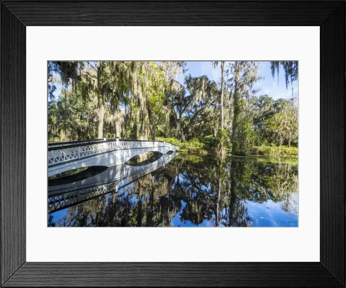Framed Print : Bridge refelcting in a pond in the Magnolia Plantation outside Charleston, South Carolina Framed Print : Bridge refelcting in a pond in the Magnolia Plantation outside Charleston, South Carolina