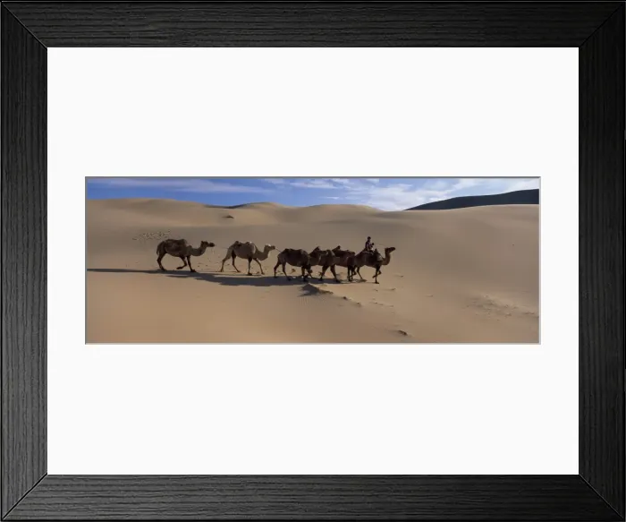 Framed Print : Camel train Framed Print : Camel train