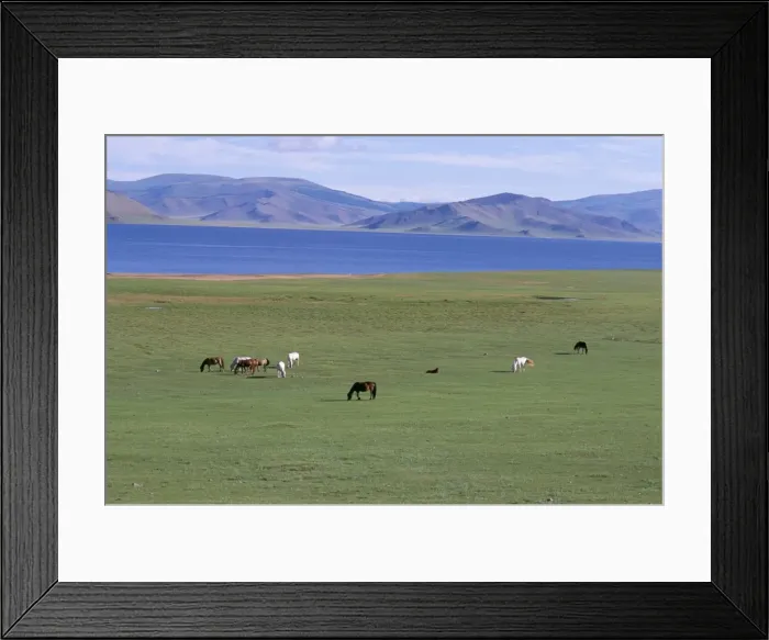 Framed Print : Lake Terkhiin Tsagaan Nuur Framed Print : Lake Terkhiin Tsagaan Nuur