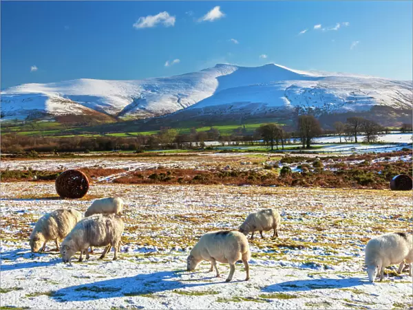 Brecon Beacons National Park, Wales, United Kingdom, Europe