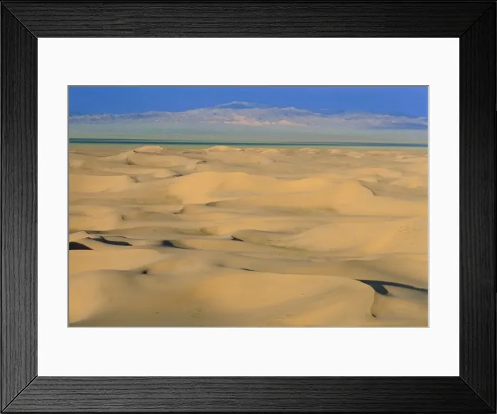 Framed Print : Khongoryn Els Dunes Framed Print : Khongoryn Els Dunes
