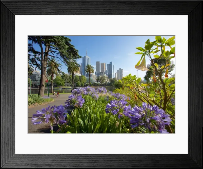 Framed Print : View of City from Alexandra Gardens, Melbourne, Victoria, Australia, Pacific Framed Print : View of City from Alexandra Gardens, Melbourne, Victoria, Australia, Pacific