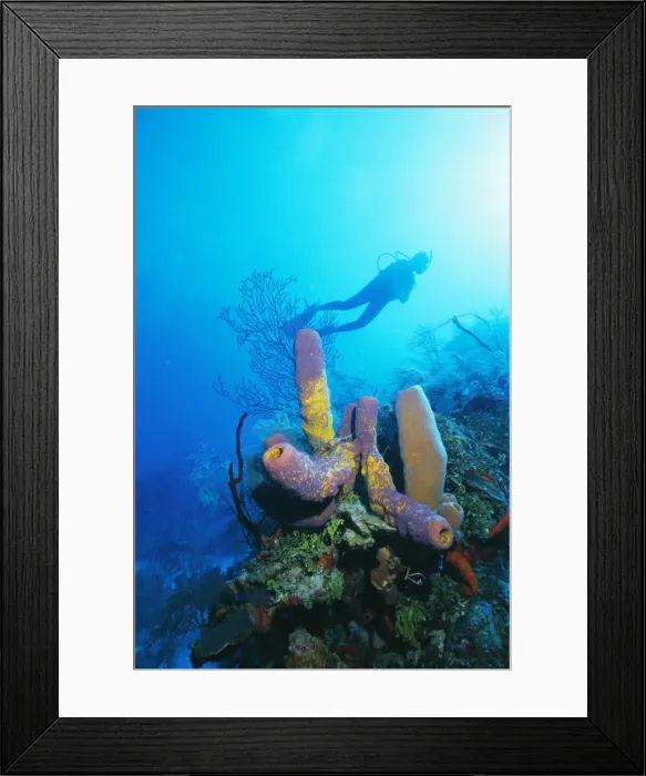 Framed Print : Coral formations and underwater diver Framed Print : Coral formations and underwater diver