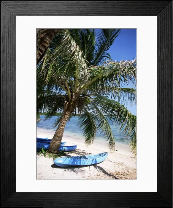 Framed Print : Beach with palm tree and kayak
