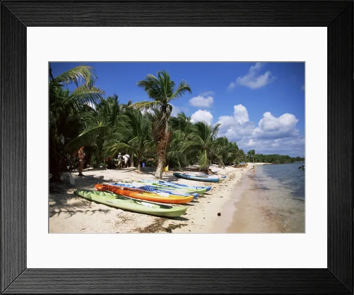 Framed Print : Beach with palm trees and kayaks Framed Print : Beach with palm trees and kayaks