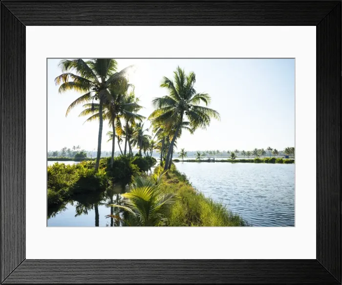 Framed Print : Backwaters near North Paravoor, Kerala, India, South Asia Framed Print : Backwaters near North Paravoor, Kerala, India, South Asia