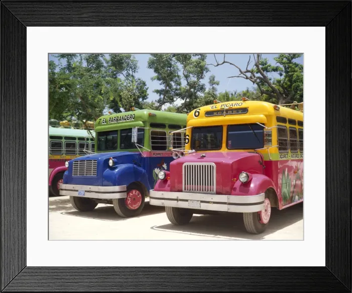Framed Print : Custom painted buses Framed Print : Custom painted buses