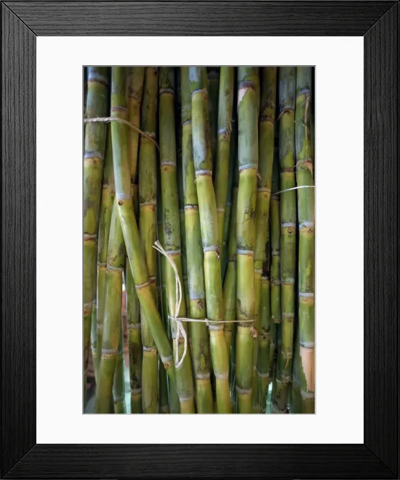 Framed Print : Close-up of bundles of sugar cane in Mexico Framed Print : Close-up of bundles of sugar cane in Mexico